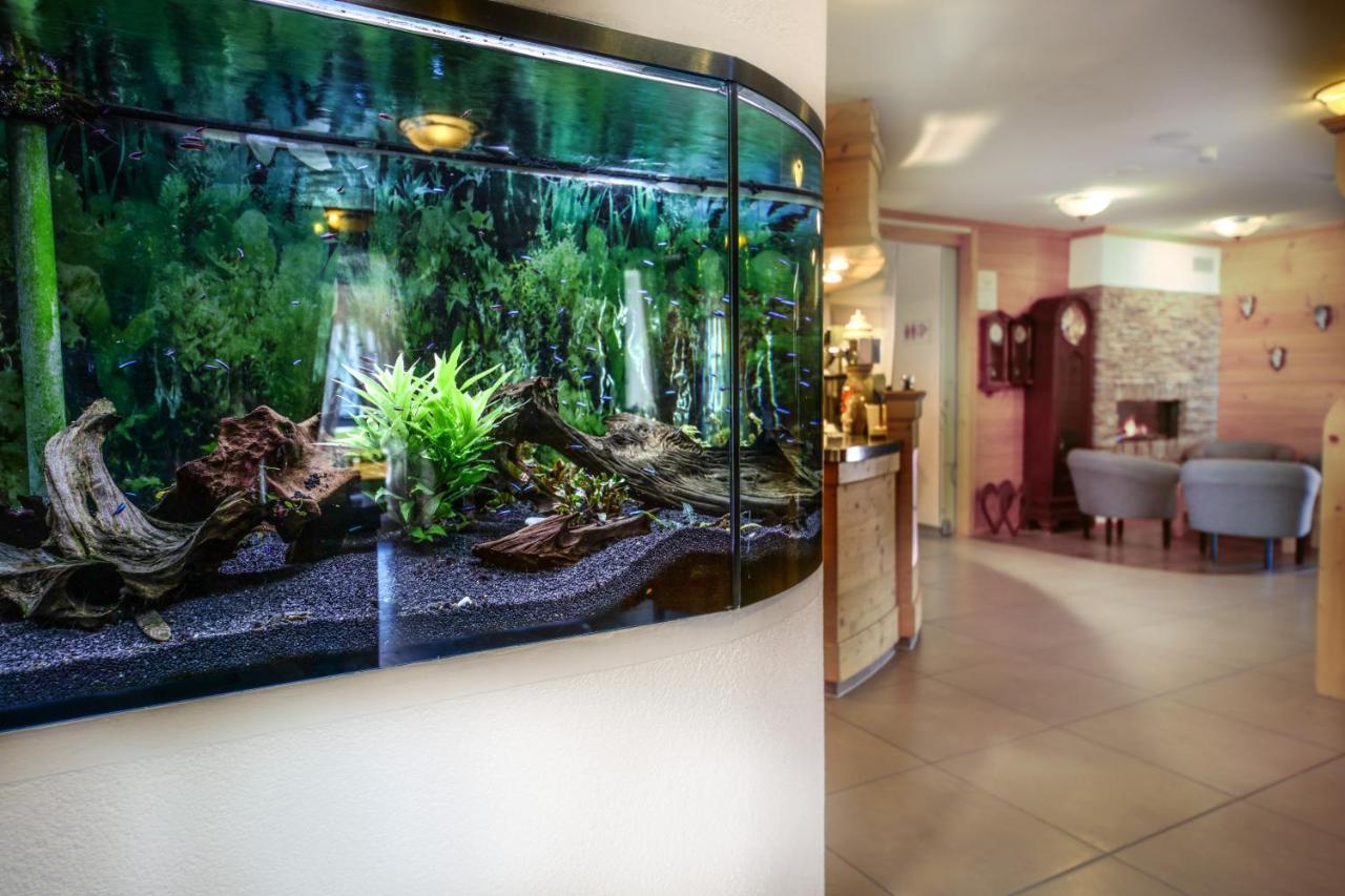 Hotel Restaurant Schwoerer Lenzkirch Zewnętrze zdjęcie